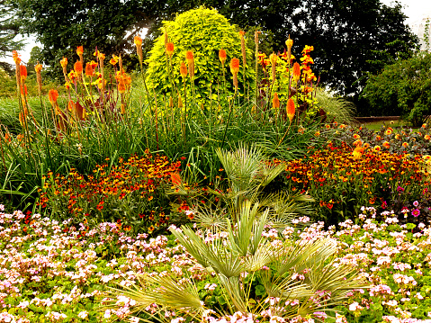 London, England - August 12, 2006: A colourful display of plants and shrubs in the Royal Botanic Gardens, a popular visitor and tourist attraction.