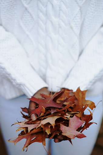 Cropped shot of a young woman holding a handful of autumn leaveshttp://195.154.178.81/DATA/i_collage/pu/shoots/805535.jpg