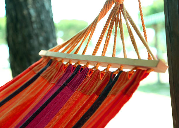 istock hammock to relax during summer vacations in the resort 487842530