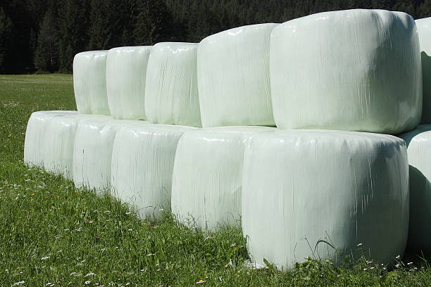 round hay bales in plastica wrap copertina - hay wheat bale stacking foto e immagini stock