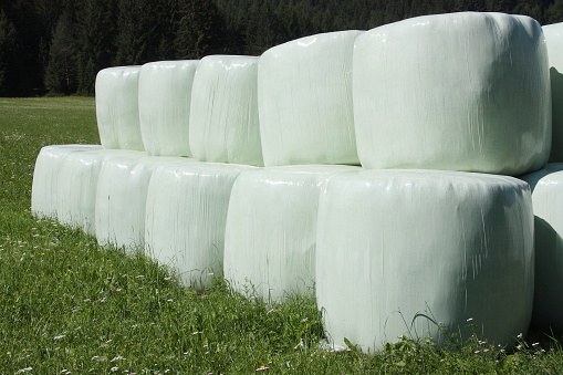 Round hay bales in plastic wrap cover