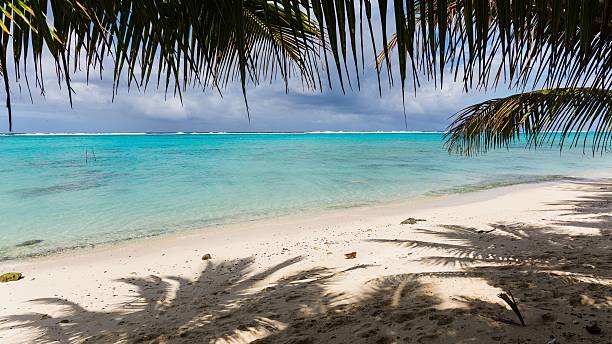 istock incredibly blue water at the cook islands 487843170