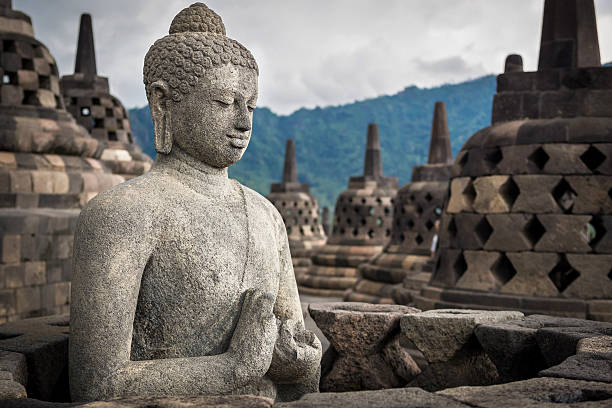 statue de bouddha de borobudur, java, indonésie - borobudur ruins photos et images de collection