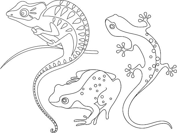 파충류 - safari animals wild animals animals and pets reptile stock illustrations