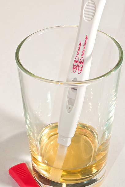 pregnancy test Isolated image of a rapid pregnancy test in the urine glass hormone photos stock pictures, royalty-free photos & images