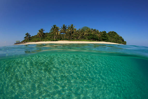 istock Tropical Island and Sea 487857261