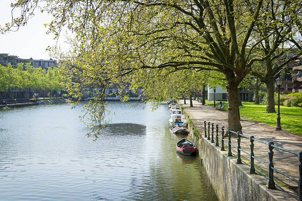 istock Typical Dutch canal landscape with water, trees,  grass and boat 487857415