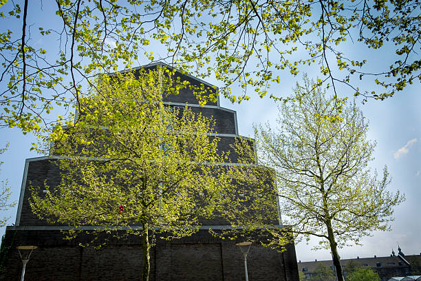 istock Green spring trees against building background, Amsterdam, the N 487857429