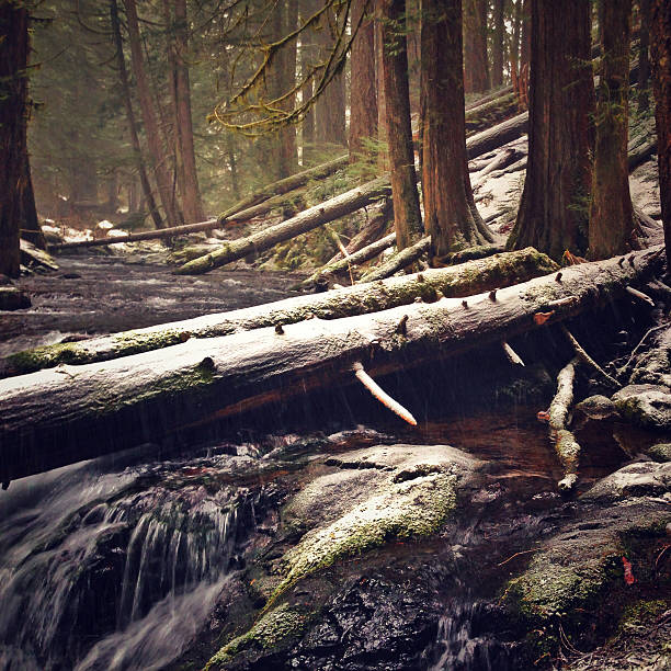 long exposure of the flowing stream