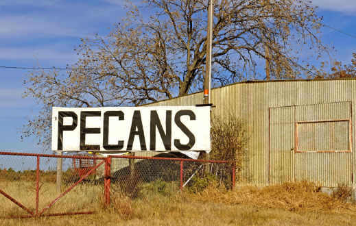 Sign along the road advertising the sale of pecans from a farmers orchard roadside stand