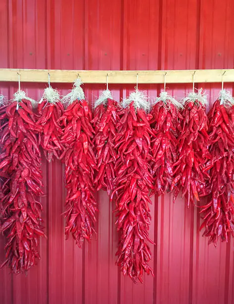 Dried red pepper ristras hanging on the side of a red barn.  Taken during chile season in New Mexico, USA.  When green chile peppers mature they turn orange and vivid bright red.  People in the Southwest use them for cooking.  And hang them in and outside their houses as decoration particularly during Christmastime.  
