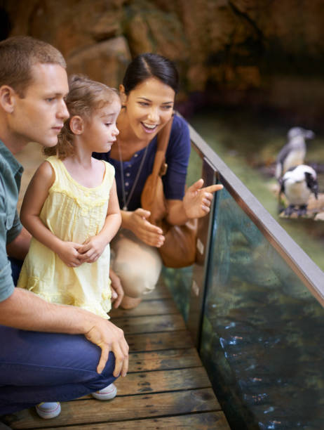 istock Aquariums- a paradise for kids 487878137