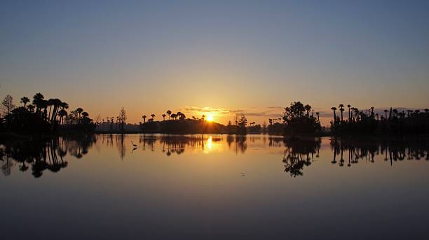 istock Beautiful Orlando Sunrise 487879031