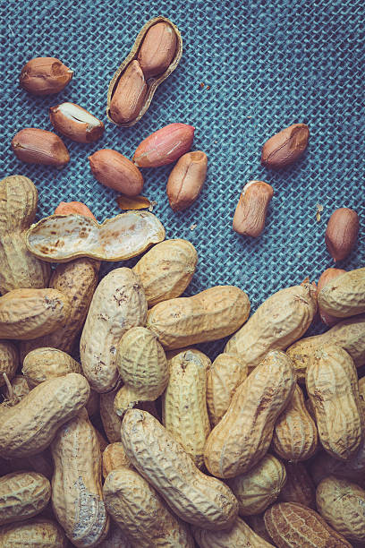 des cacahuètes - nobody food canvas peanut photos et images de collection