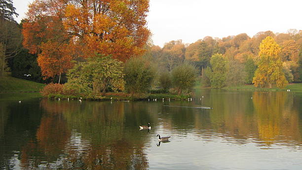 istock lake scene in Autumn 487900963