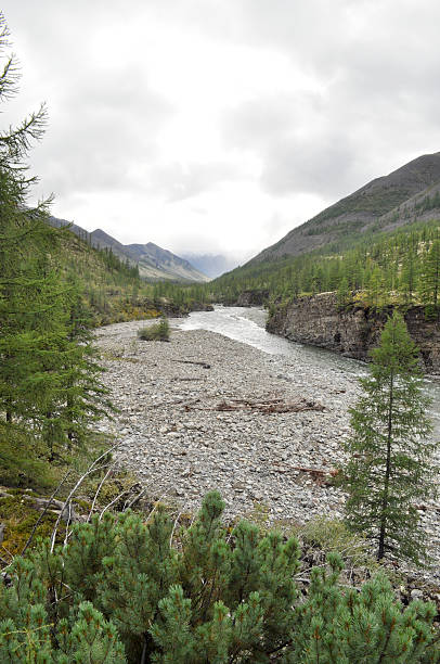 istock The river in mountains of Yakutia. 487902903