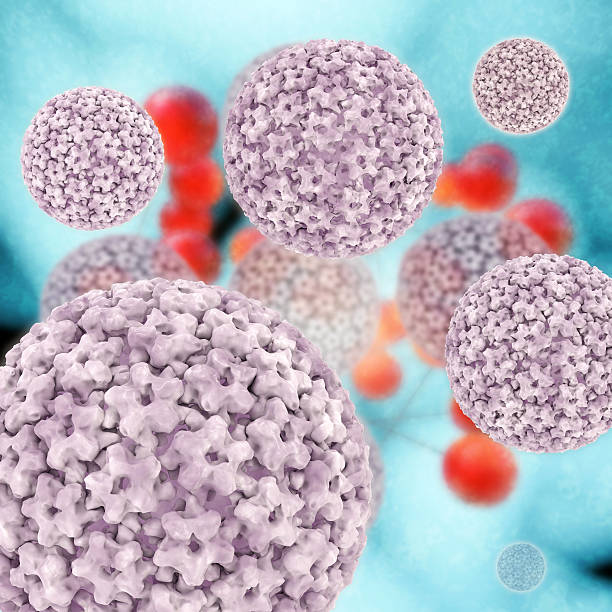 istock Papilloma virus - 3d rendered illustration 487902985