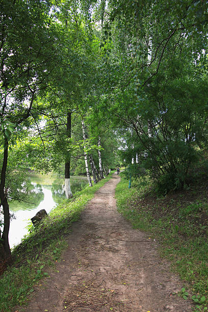 istock landscape park in the city summer 487916620