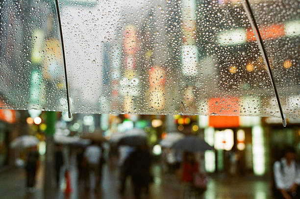 istock Umbrella raindrops in tokyo 487917123
