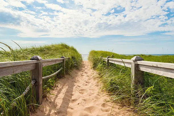 Photo of Path to the beach at Basin Head