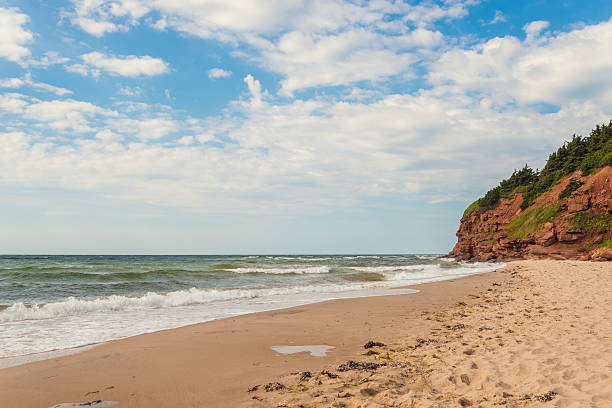 Beach at Basin Head stock photo