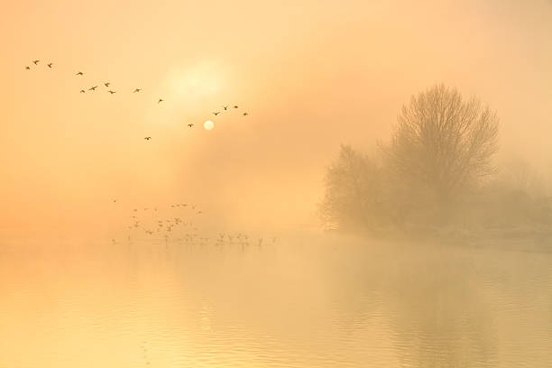 istock River Thames near Oxford, UK. 487918351