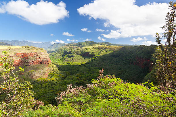 A vintage 1980s film photograph aerial view of the lush Hawaiian hills landscape from the top of a mountain hike.