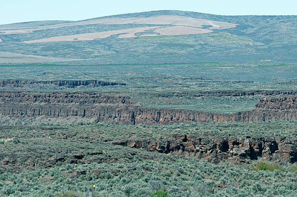 istock Tractor plowing field above geological formations in eastern Washington state 487921075