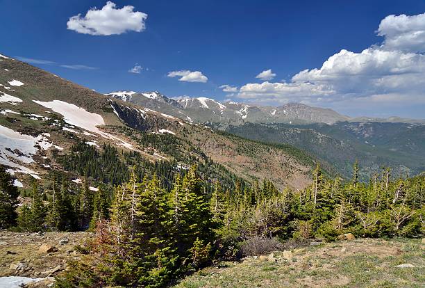 istock Lightly snowy mountain range with evergreens on a sunny day 487921375
