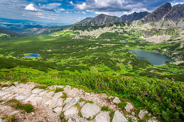 istock Narrow trail in the mountains 487921882