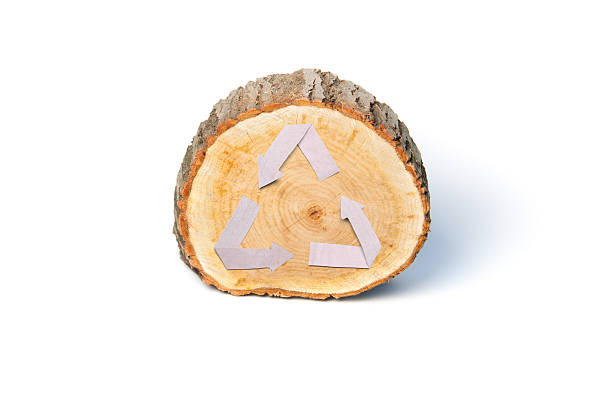 istock Close-up wooden cut and recycle symbol 487922380