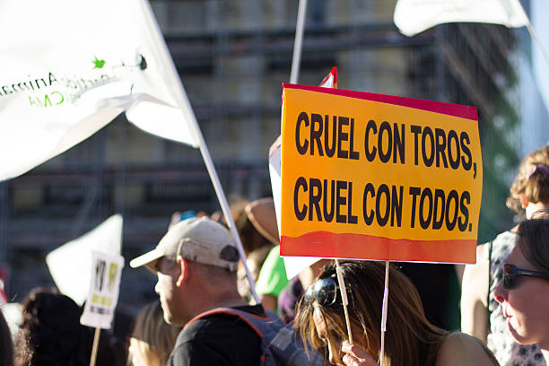 Bullfighting protest against toro de la vega stock photo