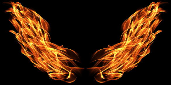 Fire wings on neutral black background.