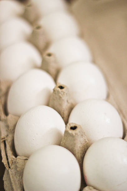 White eggs in carton stock photo