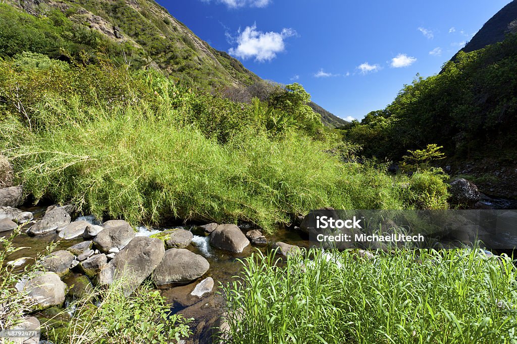 Iao Valley River, Maui The famous Iao Valley State Park in Maui, Hawaii.http://www.michael-utech.de/files/Lightbox_Kauai.jpg Blue Stock Photo