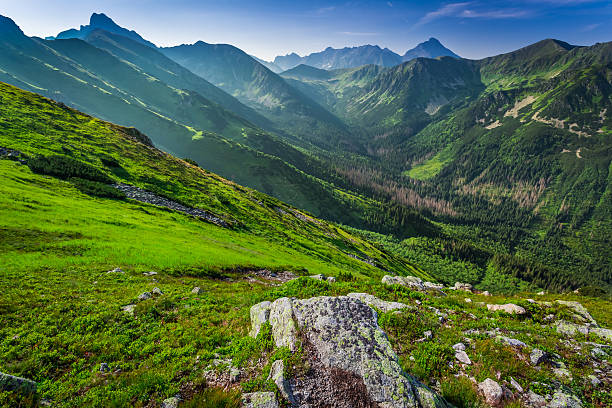 istock Wonderful dawn in the mountains 487925912