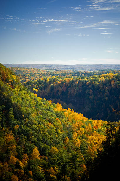 istock Autumn Color in Letchworth 487937308