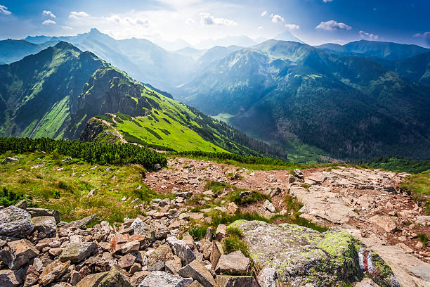 istock Trail in the mountains in Poland 487938654