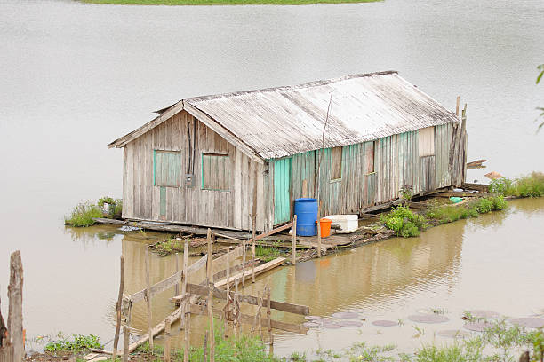 Amazon ianhouse Riverside villa that adapts to water levels, allows the riverside the easy access to water and food from fishing. Very common throughout the Amazon region    havasu creek stock pictures, royalty-free photos & images