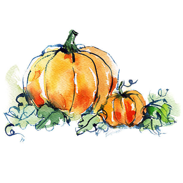 잘 익은 오랑주 두 pumpkins 녹색 잎 - pumpkin vegetable flower vegetable garden stock illustrations