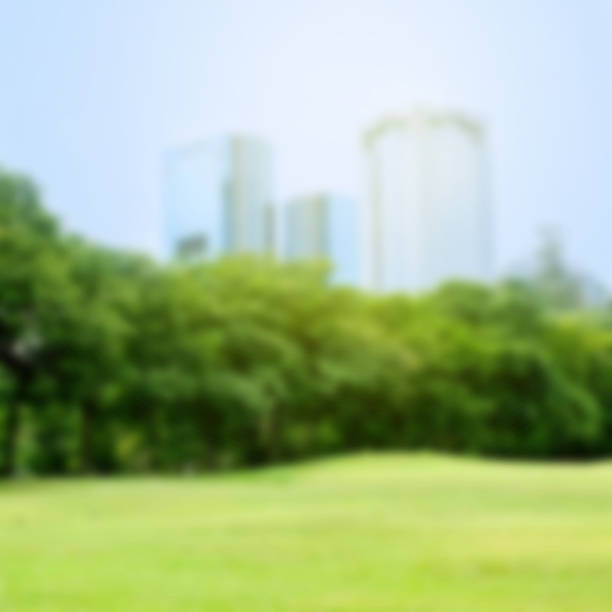 istock Background blur of nature in the park 487942058