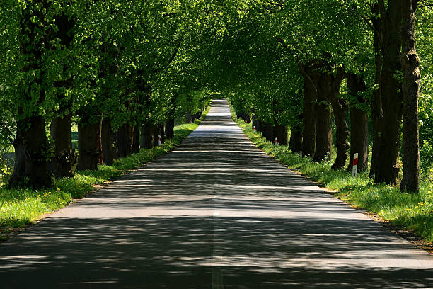 Friesland, Netherlands