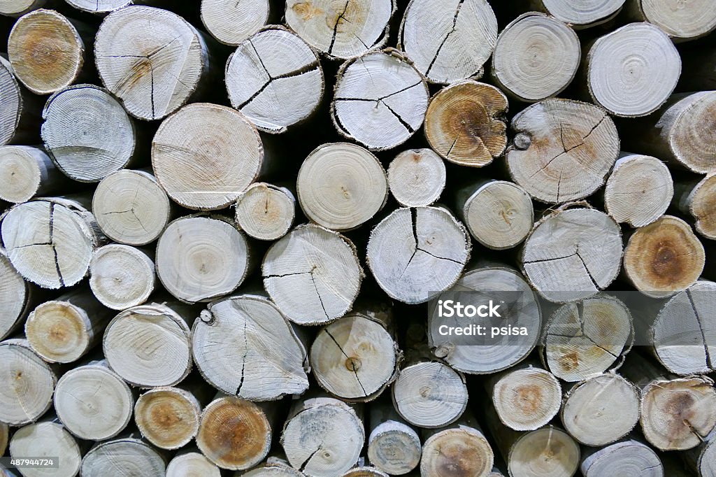 Log Surface Log Surface For Background Texture Stock Photo - Download Image Now ...