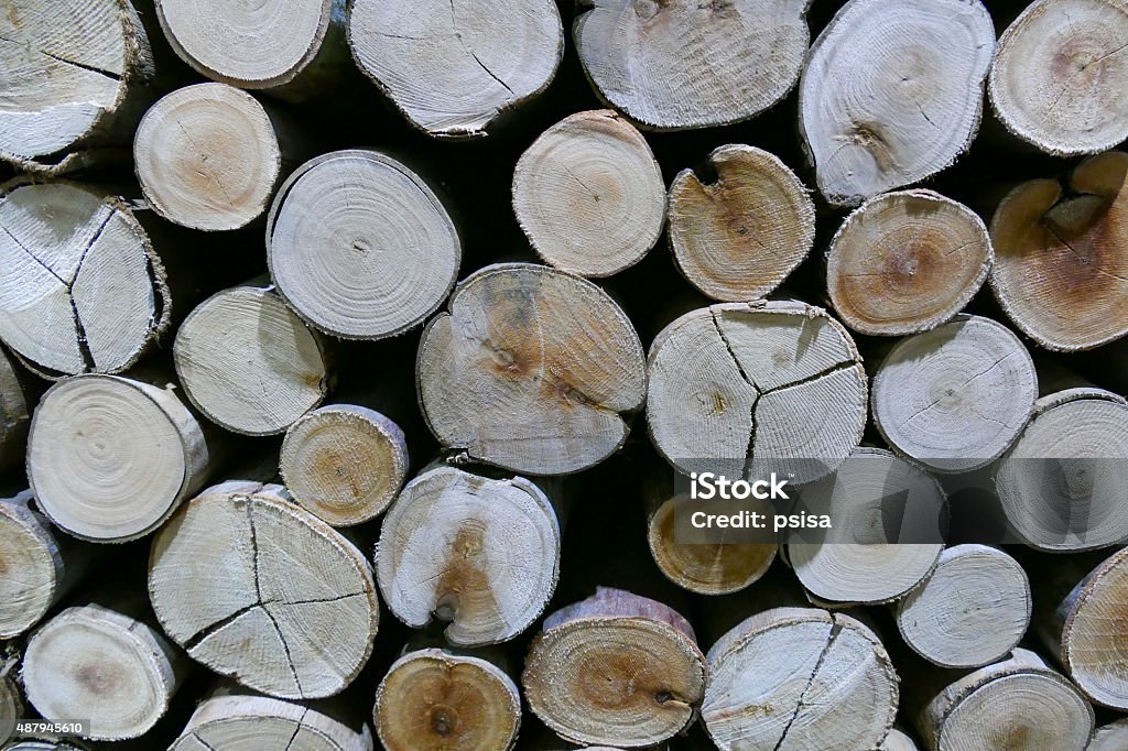 Log Surface Log Surface For Background Texture Stock Photo - Download Image Now ...