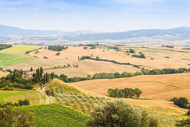 istock Countryside in Tuscany 487947726