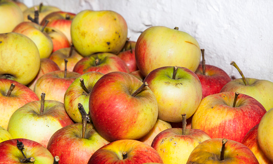 apples are stored in the cellar to keep fresh