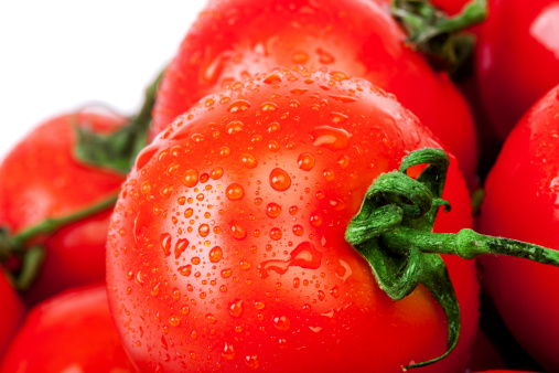 fresh vegetable tomato in studio shot