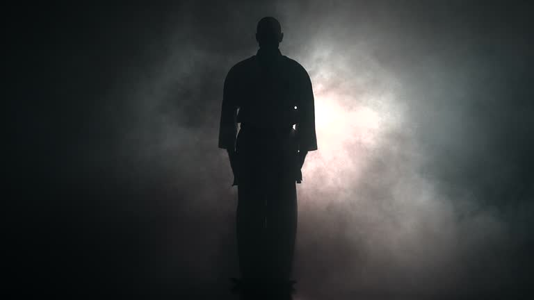 Training martial arts