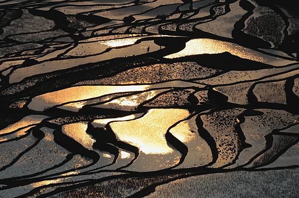 alterar a luz do sol sobre os campos com terraço - agriculture artificial yunnan province china imagens e fotografias de stock