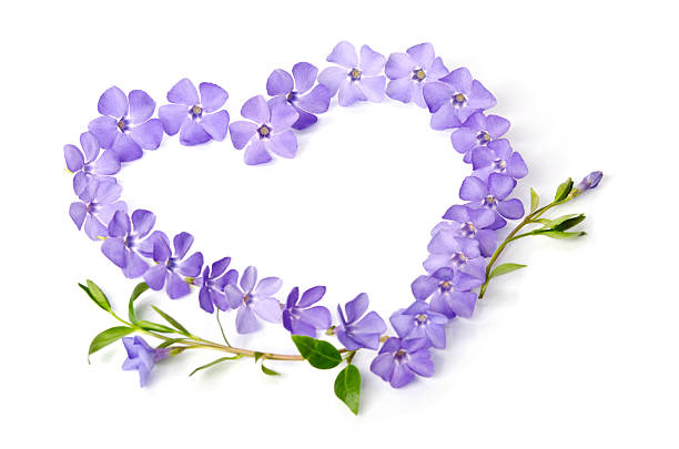 istock Blue flowers in a shape of a heart 487965695